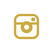 White Instagram round logo with gold camara - links to Le Pavillon's Instagram page - Reception Venues - Lafayette, LA 